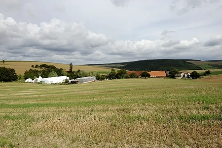 ricion plant aktuell den weiteren Ausbau des Technikums am Hengstbacherhof mit Biologie- und Bodenlabor, Versuchsanlagen und Produktionserweiterung für unser Biokonzentrat.