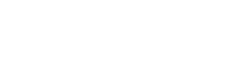 ricion Logo weiß